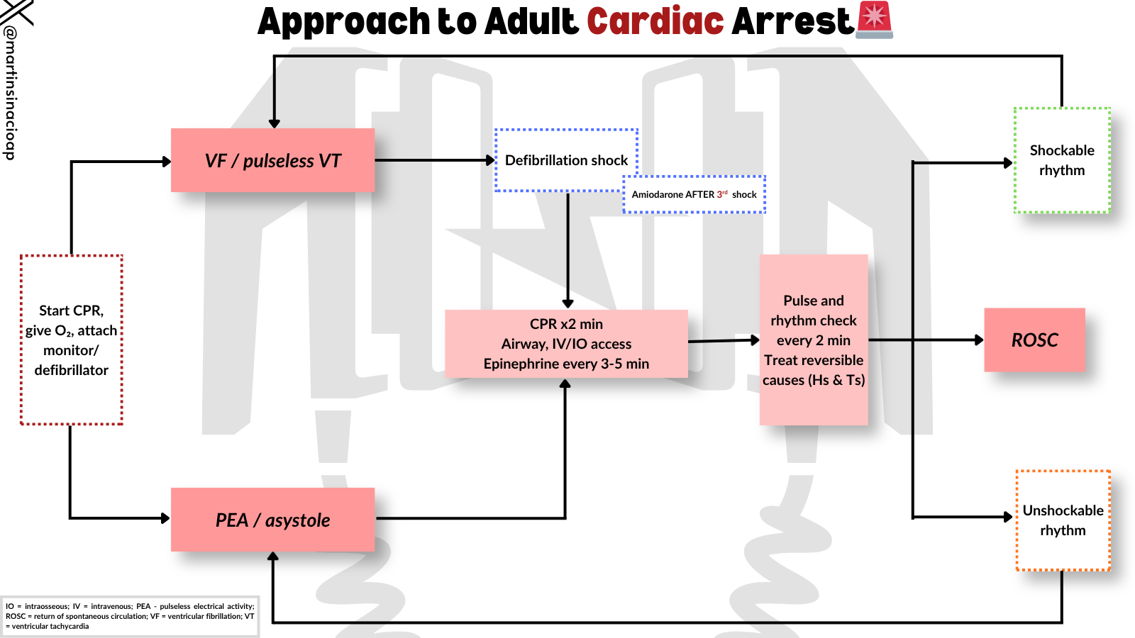 Approach to Adult Cardiac Arrest (ACLS Algorithm)